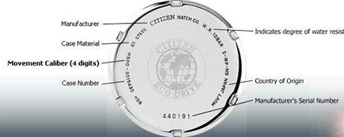citizen watch serial number